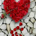 Md- Bukau, Fewo, City, Chic, Erdgeschoss, Bestpreis- Leistung, Fuer 1-5 Personen, 1 Dreibettzimmer, 1 Doppelzimmer 79 Qm , Kueche, Bad Magdeburg