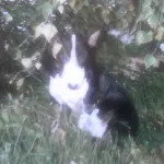 Md- Bukau, Fewo, City, Chic, Erdgeschoss, Bestpreis- Leistung, Fuer 1-5 Personen, 1 Dreibettzimmer, 1 Doppelzimmer 79 Qm , Kueche, Bad