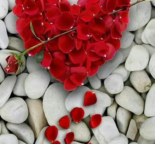 Md- Bukau, City, Chic, Erdgeschoss, Bestpreis- Leistung, Fuer 1-5 Personen, 1 Dreibettzimmer, 1 Doppelzimmer 79 Qm , Kueche, Bad Magdeburg