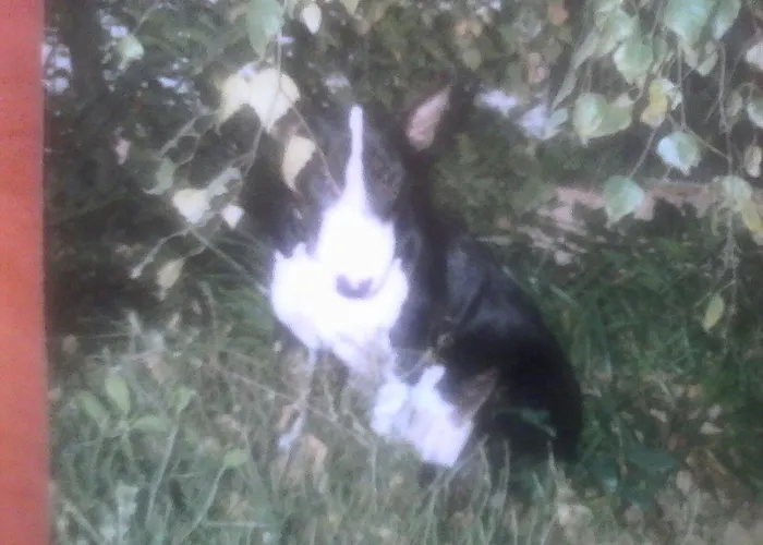 Md- Bukau, Fewo, City, Chic, Erdgeschoss, Bestpreis- Leistung, Fuer 1-5 Personen, 1 Dreibettzimmer, 1 Doppelzimmer 79 Qm , Kueche, Bad